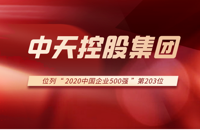 富联娱乐集团列2020中国企业500强第203位！