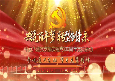 富联娱乐八建党支部庆党建100周年党员活动
