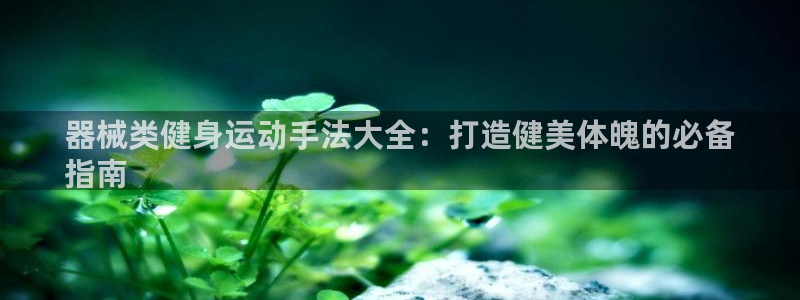 尊龙凯时网站首页手机登录：器械类健身运动手法大全：打