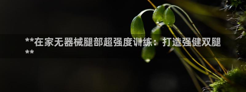 尊龙凯时城游戏官网