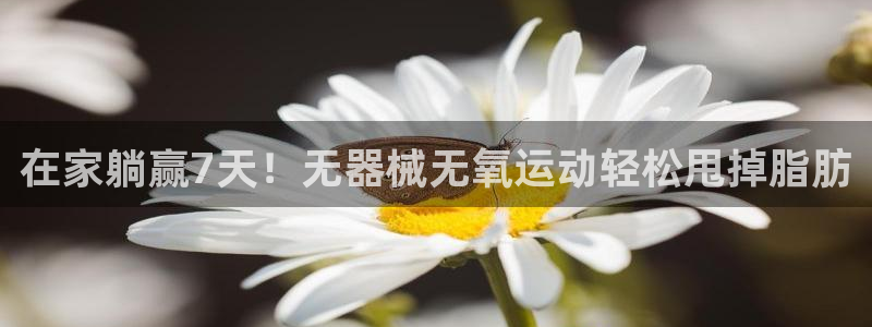 尊龙凯时人生就是搏首页：在家躺赢7天！无器械无氧运动