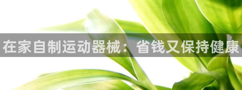 尊龙app认可ag发财网：在家自制运动器械：省钱又保