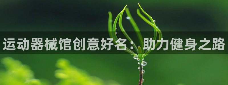 尊龙百度百科：运动器械馆创意好名：助力健身之路